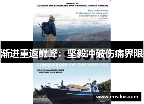 渐进重返巅峰：坚毅冲破伤痛界限